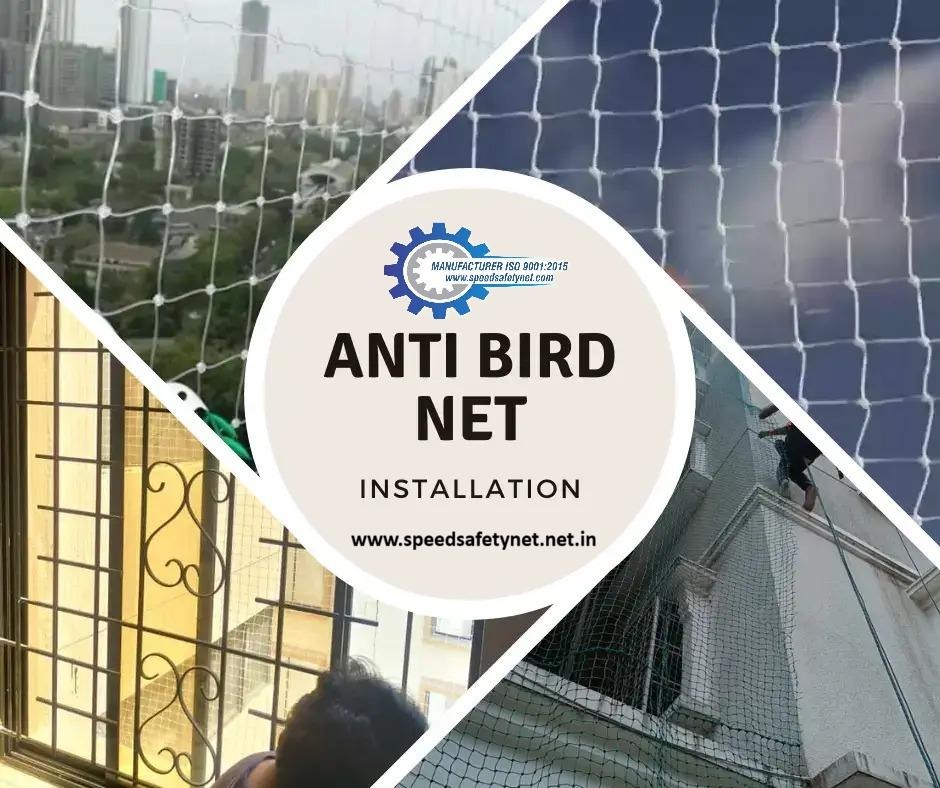 Anti bird net installation